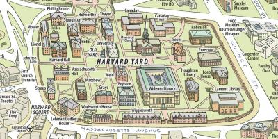 地图的哈佛大学